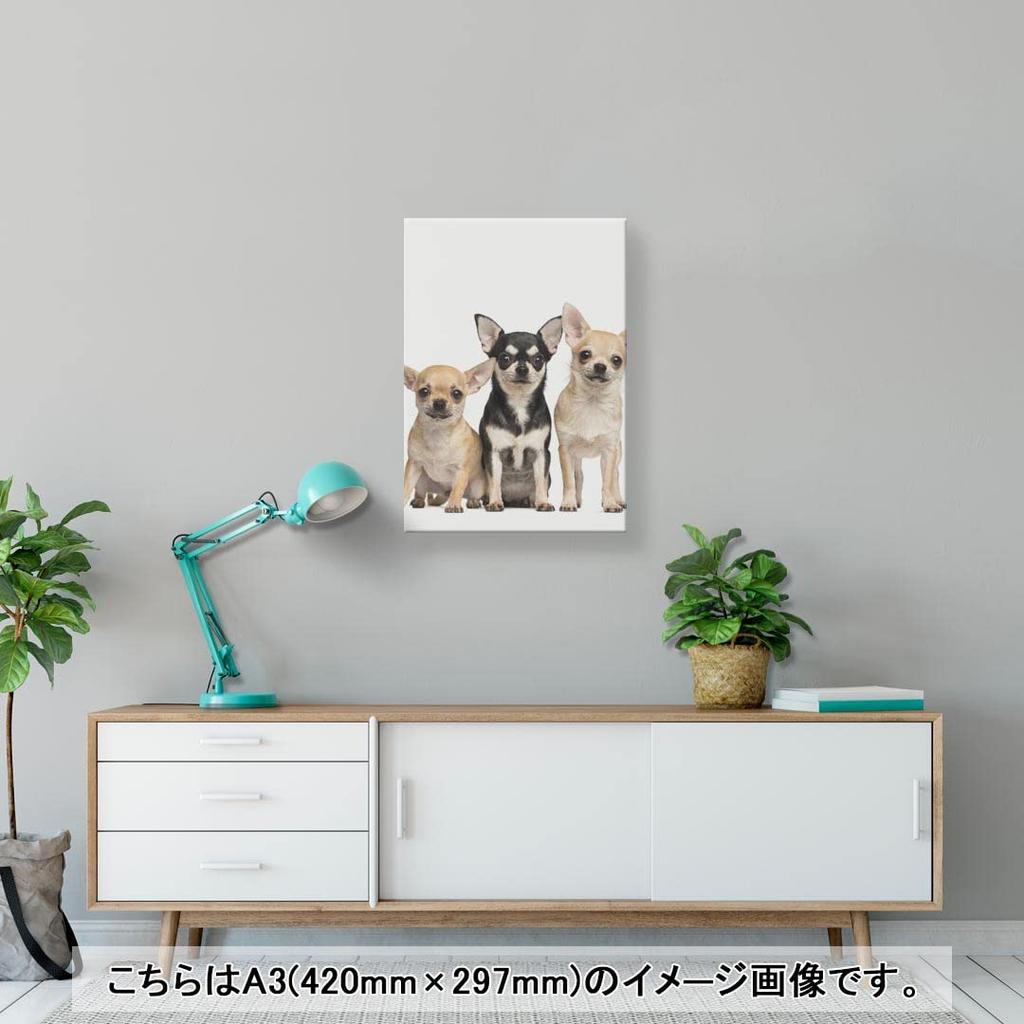 Art 420mm x Wall Wooden Stylish Interior Animal Photo Panel, Painting, Decoration, igsticker, 297mm, A3, Photo, Hanging, Frame, Decor, 002885, Animal,