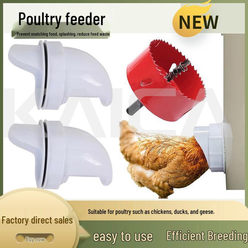 Windproof Rainproof Gravity Poultry Feeder for Chickens & Ducks