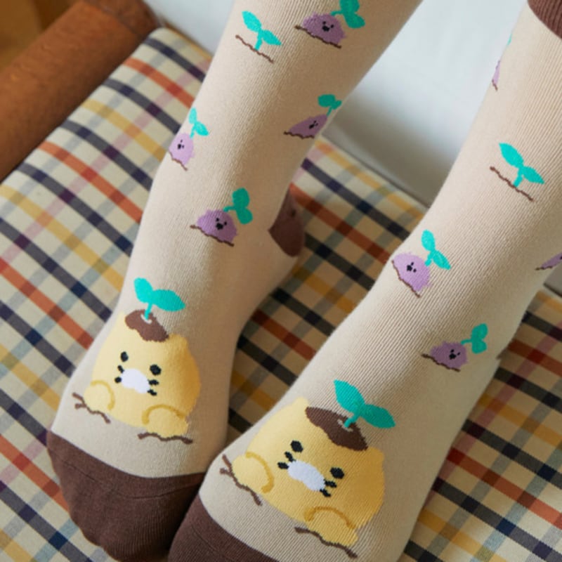 KAKAO FRIENDS Daily Socks Goguma_Chunshik