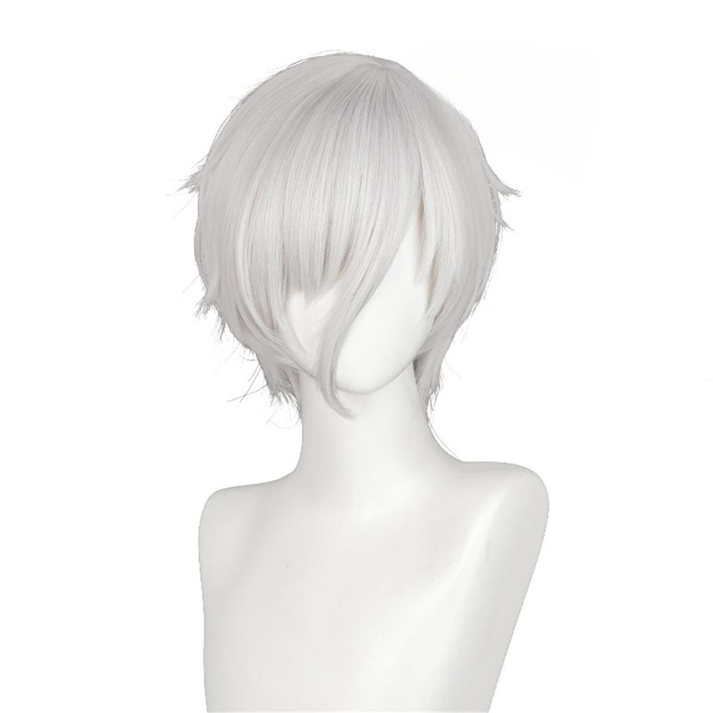 Laubao Shopping Antarcticite Cosplay Gray Costume Halloween Cosplay Wig Wig, Bob, Hair, Heat-Resistant, Accessory, Costume, (Antarcticite)