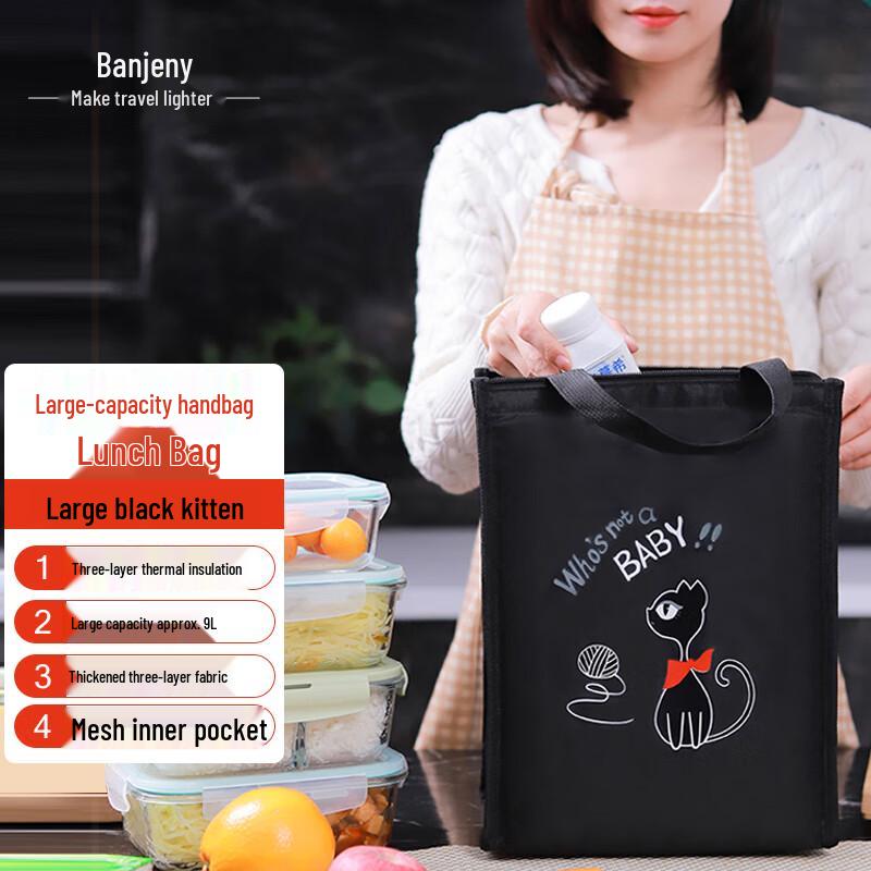 Portable Insulated Lunch Bag