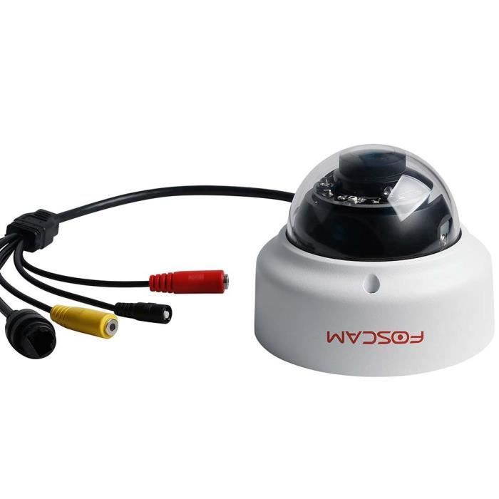 Foscam D2EP Caméra IP Full HD Full HD 2MP PoE P2P WDR 2.0 avec Vision Nocturne Infrarouge jusqu'à 20 m 3001