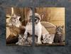 GLAS-SCHUTZPLATTE 75x52 HUND