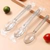 Individually Wrapped Disposable Spoons - 100 Count