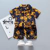 Summer Clothes Handsome Boys Summer Hawaii Clothing  Children's Shirt Korean Girls Short-sleeved Baby Clothes Beach