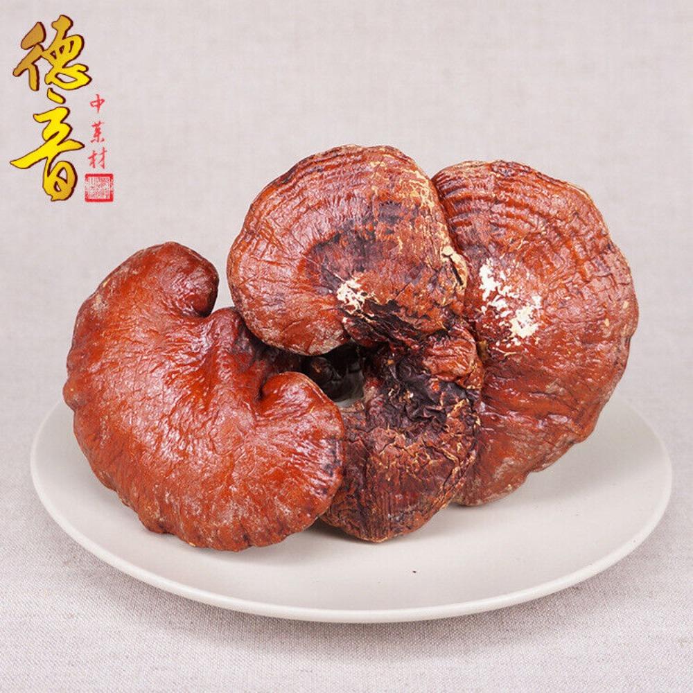 High Quality Ganoderma Lucidum 500g Jilin Origin Natural Herbal Tea Dietary Supplement