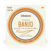 D'Addario Tenor Banjo Strings, Nickel, Medium, 4-String, .009-.030, EJ63