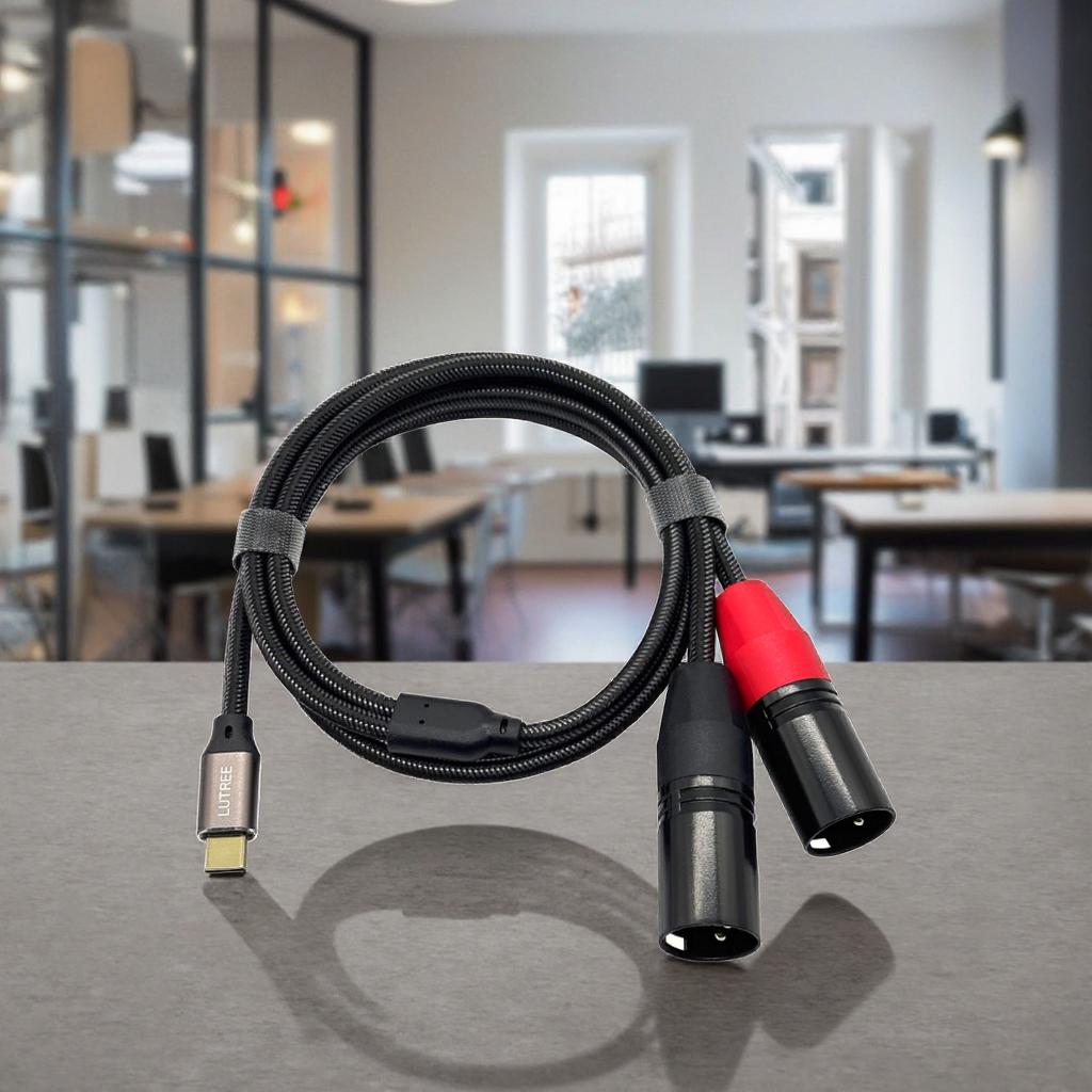 High Quality Type C Male To Dual XLR Male Cable Black PVC Braided Speaker Microphone Cable Professional  HiFi Jack Audio Cable