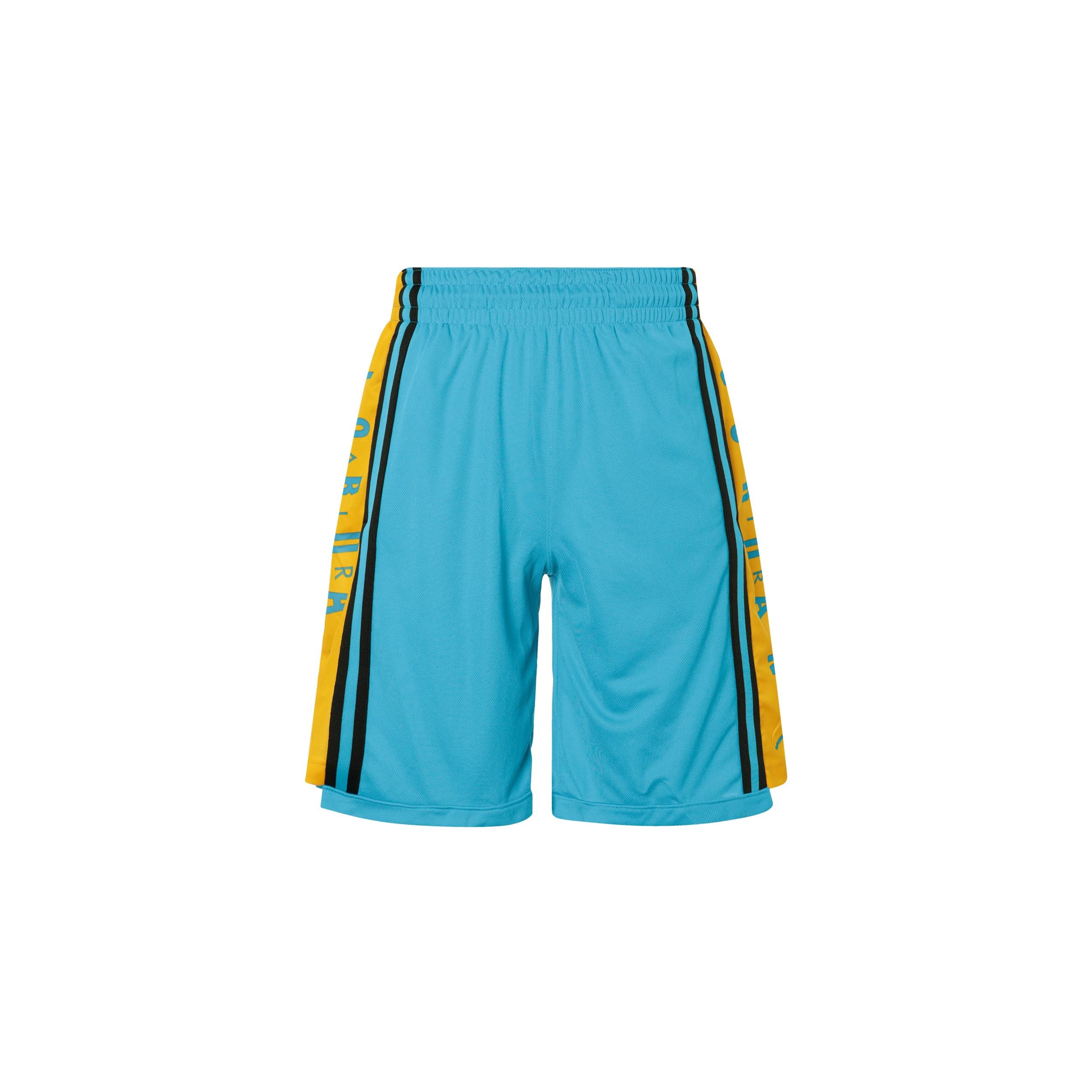 Air Jordan HBR Quick Dry Breathable Basketball Shorts Blue Men s BQ8393-433 S