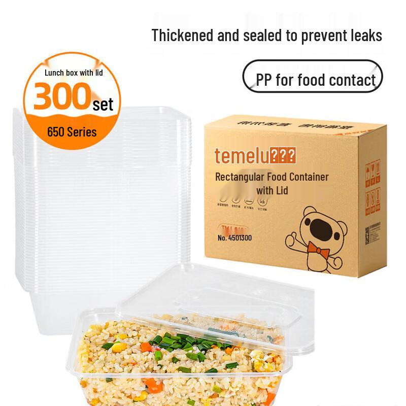 Temeiju Disposable Rectangular Meal Box Set