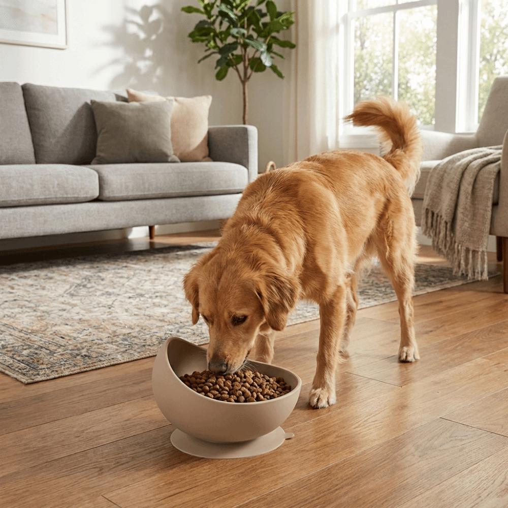 Suction Cups Silicone Pet Bowl Neck Protection Elevated Feeder Portable Dog Food Bowl Pet Dining