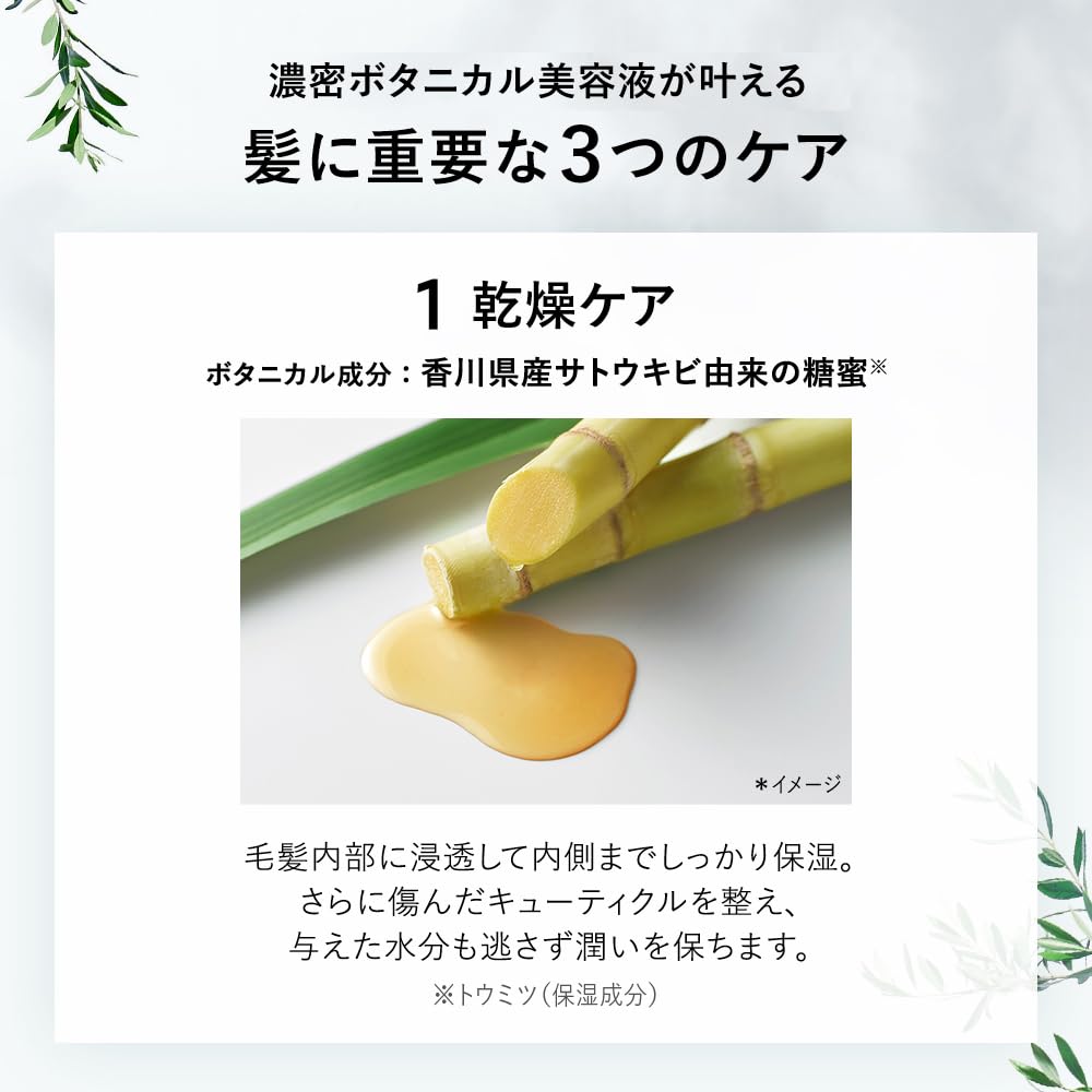 Botanist Travel Set Smooth