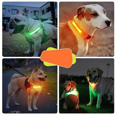 Cani – Collari e guinzagli per cani