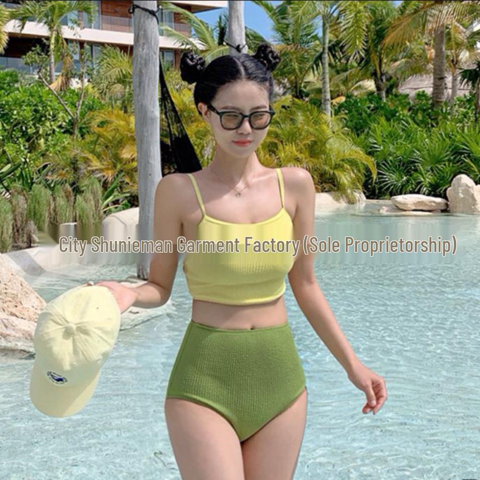 Women's Solid Color High Waist Bikini with Flesh-Covering Panel, Slimming Design, Pure Desire Style, and Color Block for Small Chest