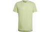 T Shirts Men's Sour Green Crew Neck Moderate Straight Fit HC9829