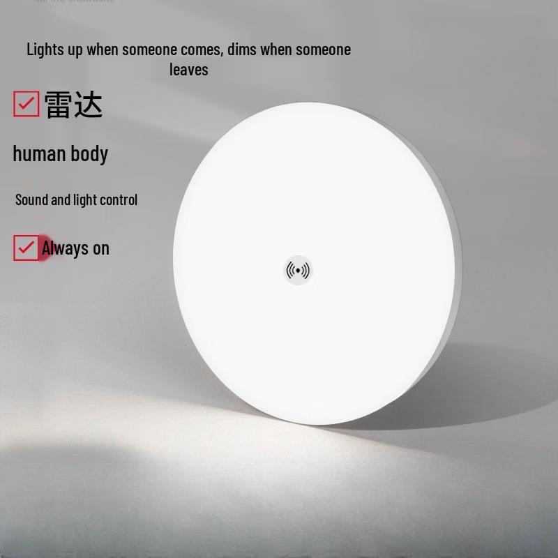 Infrared Motion Sensor LED Ceiling Light