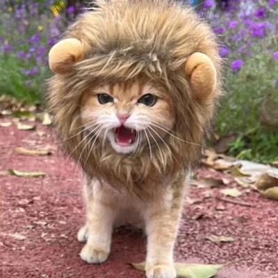 Mane Wig Costume Pet Adjustable Washable Comfortable Fancy Lion Hair Cat Dress Suitable For Halloween Easter Party