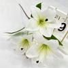 Plant Simulated Lilium Spp Wedding Hotel Restaurant Desktop Decoration Props