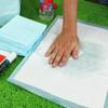 20pcs/50pcs/100pcs Super Absorbent Dog Training Toilet Disposable Cushion Healthy Diaper Pad Premium Grade Male Dog Gentle Texture