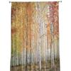 Autumn Birch Tree Window Treatment Tulle Modern Sheer Curtains for Kitchen Living Room the Bedroom Curtains Decoration