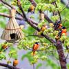 House Outdoor Hanging Bird House Straw Bird House Natural Bird House