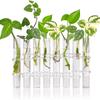 8pcs Hinged Flower Vase Clear Glass Test Tube Hanging Flower Holder for Hydroponic Container Room Office Dining Table Home Decor