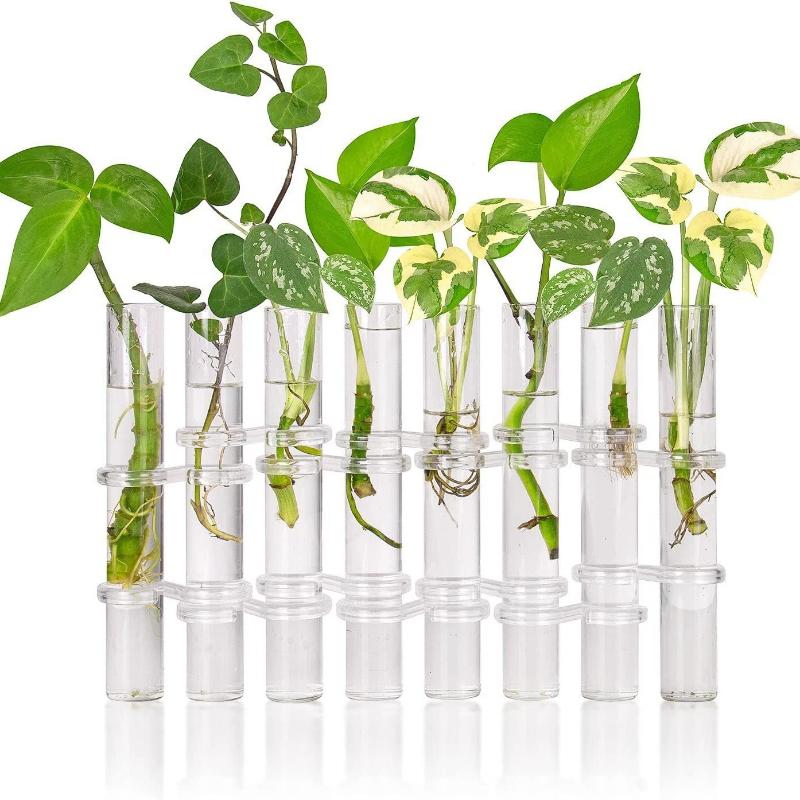 8pcs Hinged Flower Vase Clear Glass Test Tube Hanging Flower Holder for Hydroponic Container Room Office Dining Table Home Decor