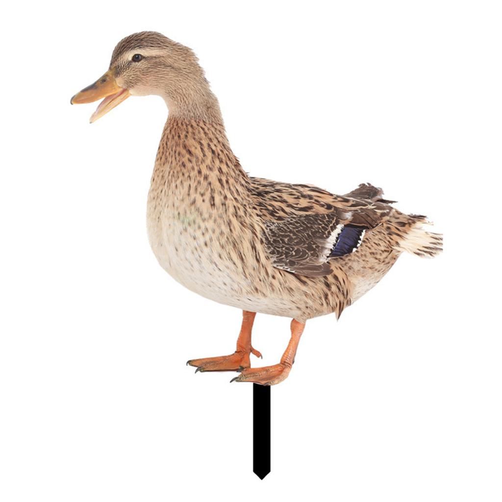 Resin Garden Statue Statue Decor Animals Stake Balcony Duck