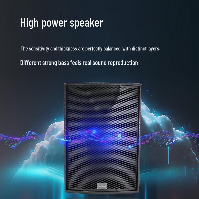 FionTu JP-Q10M 10-inch Full-Range Speaker (CN Version)