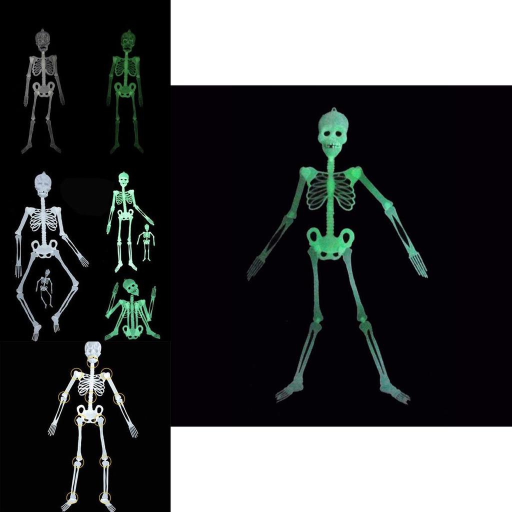 Premium Quality Luminous Hanging Human Skeleton Ideal For Halloween And Party Decor