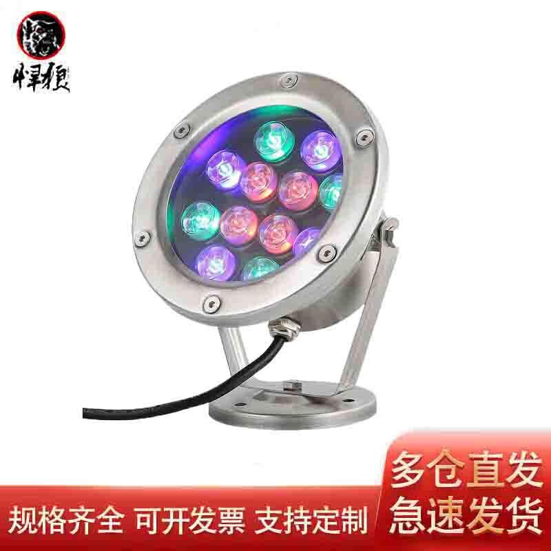 Hanlang LED Stainless Steel Submersible Fountain & Pool Light
