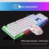Zhuiguangbao G21 Wired Backlit Gaming Keyboard