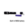 Dual UV and White Light Multifunction Detector