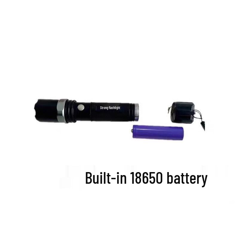 Dual UV and White Light Multifunction Detector