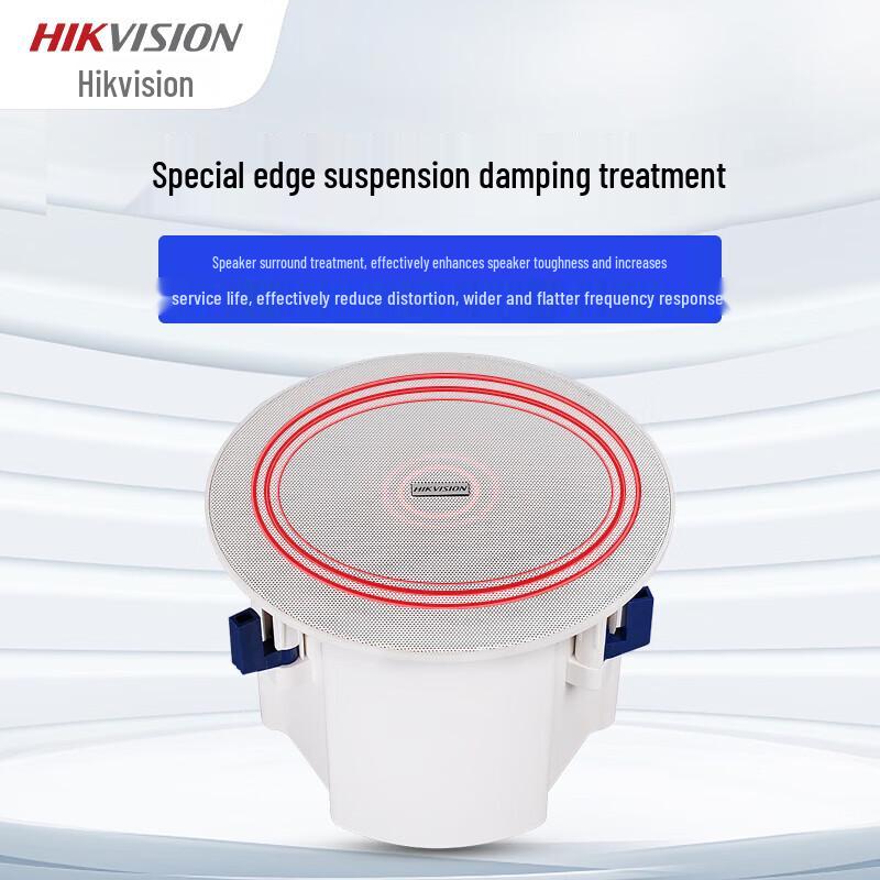 HIKVISION Audiophile Ceiling Speaker & Bluetooth Amplifier System