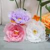 Large Size Simulated Peonies Non-woven Fabric Peony Flower NEW Garden Decoration  Wedding Backdrop