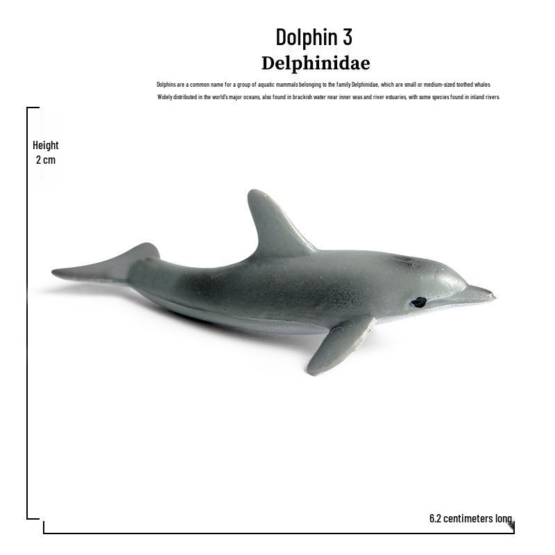 Children's Marine Animal Toy Set: Megalodon, Beluga, Octopus, Turtle, Dolphin & Manta Ray