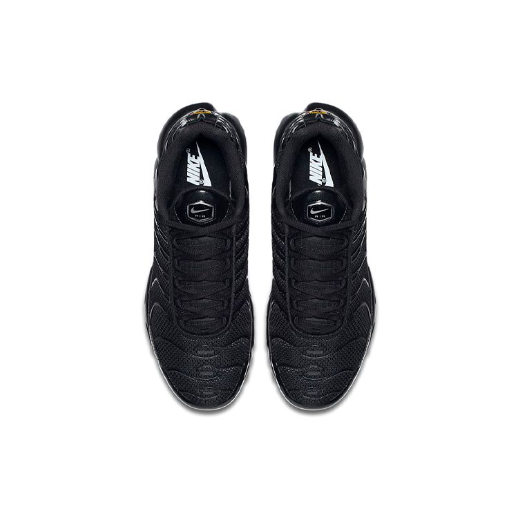 Nike Pánske tenisky Air Max Plus Triple Black Čierne-Čierne 604133-050