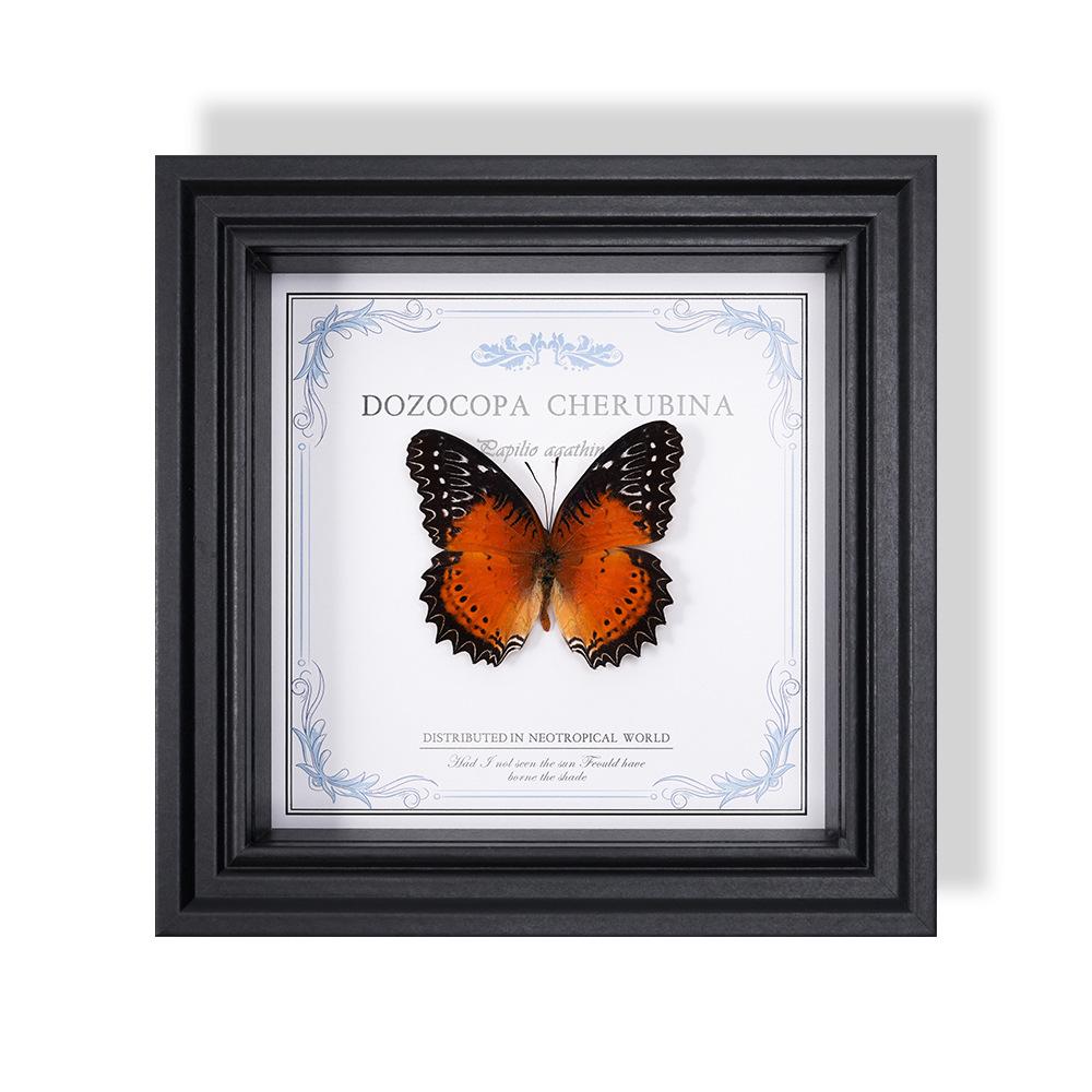 Wall-Mounted Butterfly Specimen Photo Frame: Home Decor & Gift for Valentine's Day, Qixi, Birthday, Couples & Insect Lovers