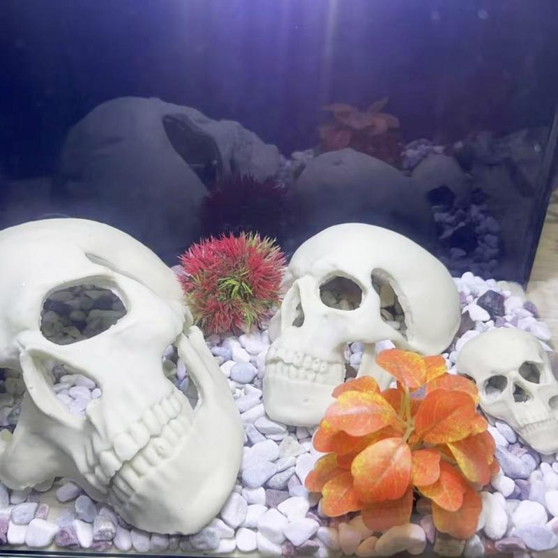 Skull Figurine Accent for Enclosure Styling, Room Display, Shelf Display, and Theme Display Use with Indoor Display