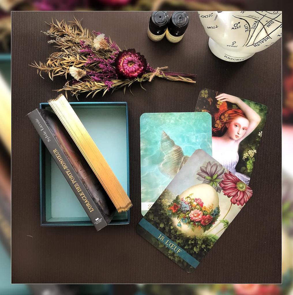 [Authentic] Lucky Charms Oracle [Oracle Card Meanings in Japanese] Tarot Fortune Telling