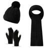 3Pcs/Set Thicken Winter Hat Scarf Gloves Set Warm Scarf Neck Warmer Suit Touchscreen Gloves  Unisex