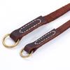 Dog Collar P Leash Pet Neck Cover Medium Sized Dog Dog Chain Training Rope Training Dog Control Chain