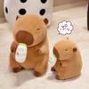 Bottle Capybara Ab Dress Up Cartoon Plush Toys Childres Birthday Gifts Dolls