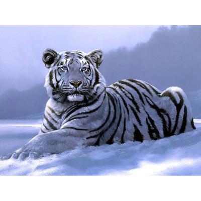 Diamond Painting White Tiger 5d Diy Diamond,diamond Painting Crystal
