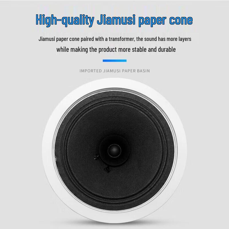 LINGSHENG 6.5-inch Recessed Ceiling Speaker CN plug (adapter included)