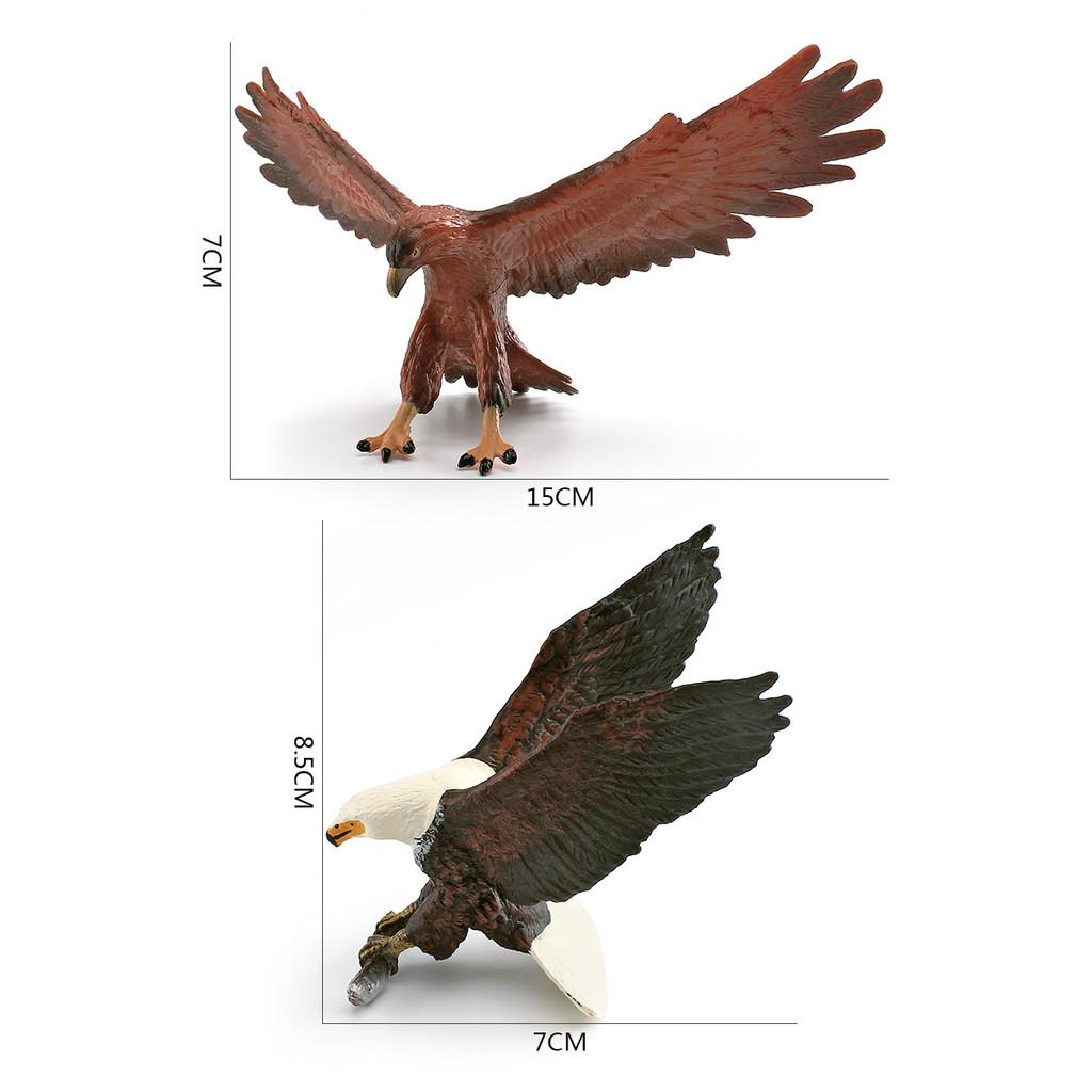 Wildlife Bird Eagles Replicas Pvc Desk Ornaments For Children Classroom Learning