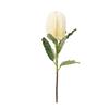 Artificial Banksia Flower Innovative Simulation Light Luxury Artificial Flowers Decorations for