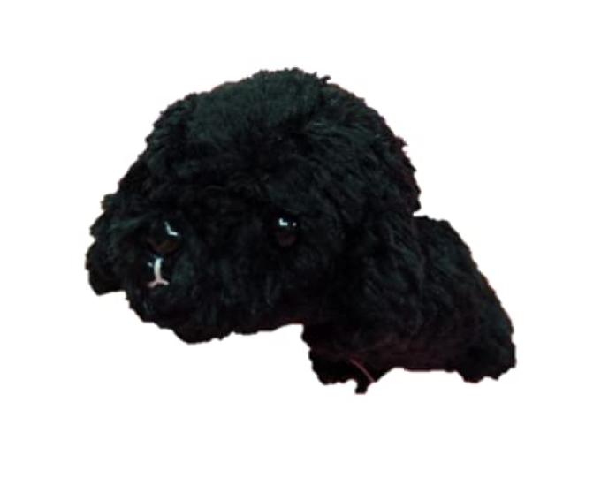 Tst Advance Little Beans Poodle (Black)