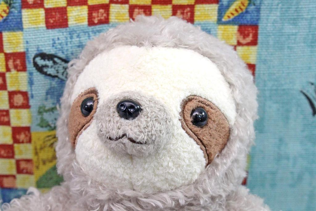 Shinada daccocco Cuddle Sloth Gray DCC-0168N
